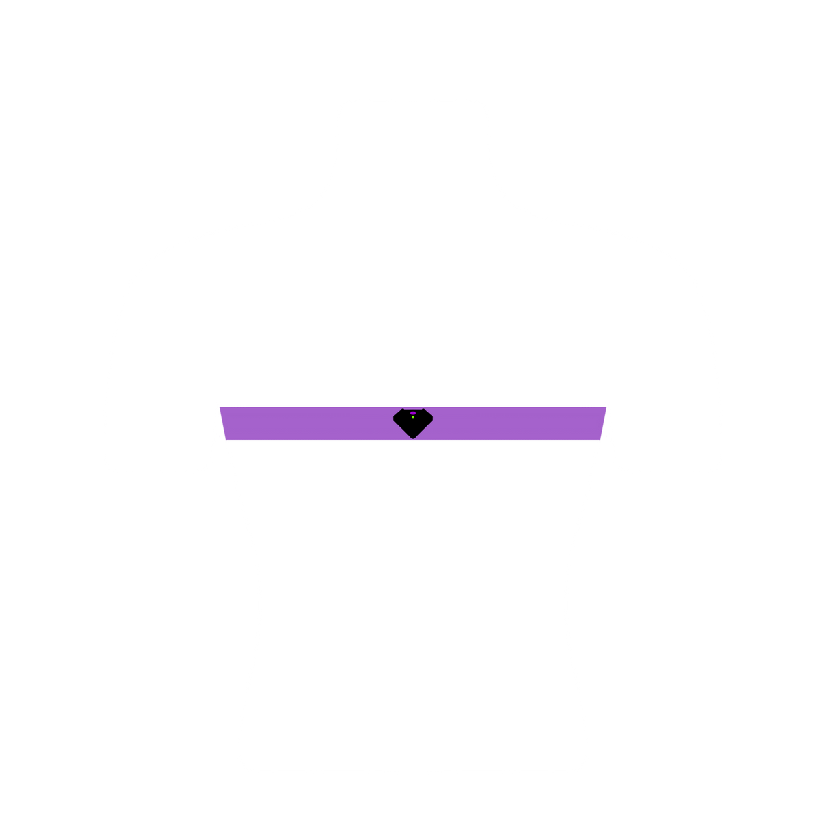 Basic Chest Strap, image 1 of 1