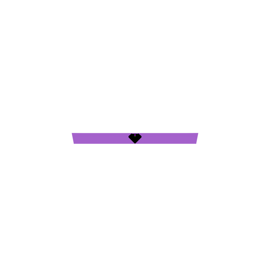Basic Chest Strap